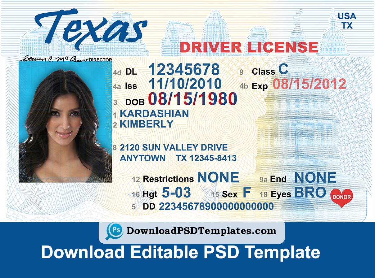 free printable backseat drivers license